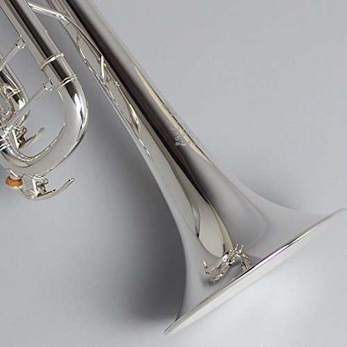 Amazon.co.jp: ヤマハ YAMAHA トランペット YTR-8335GS : 楽器・音響機器